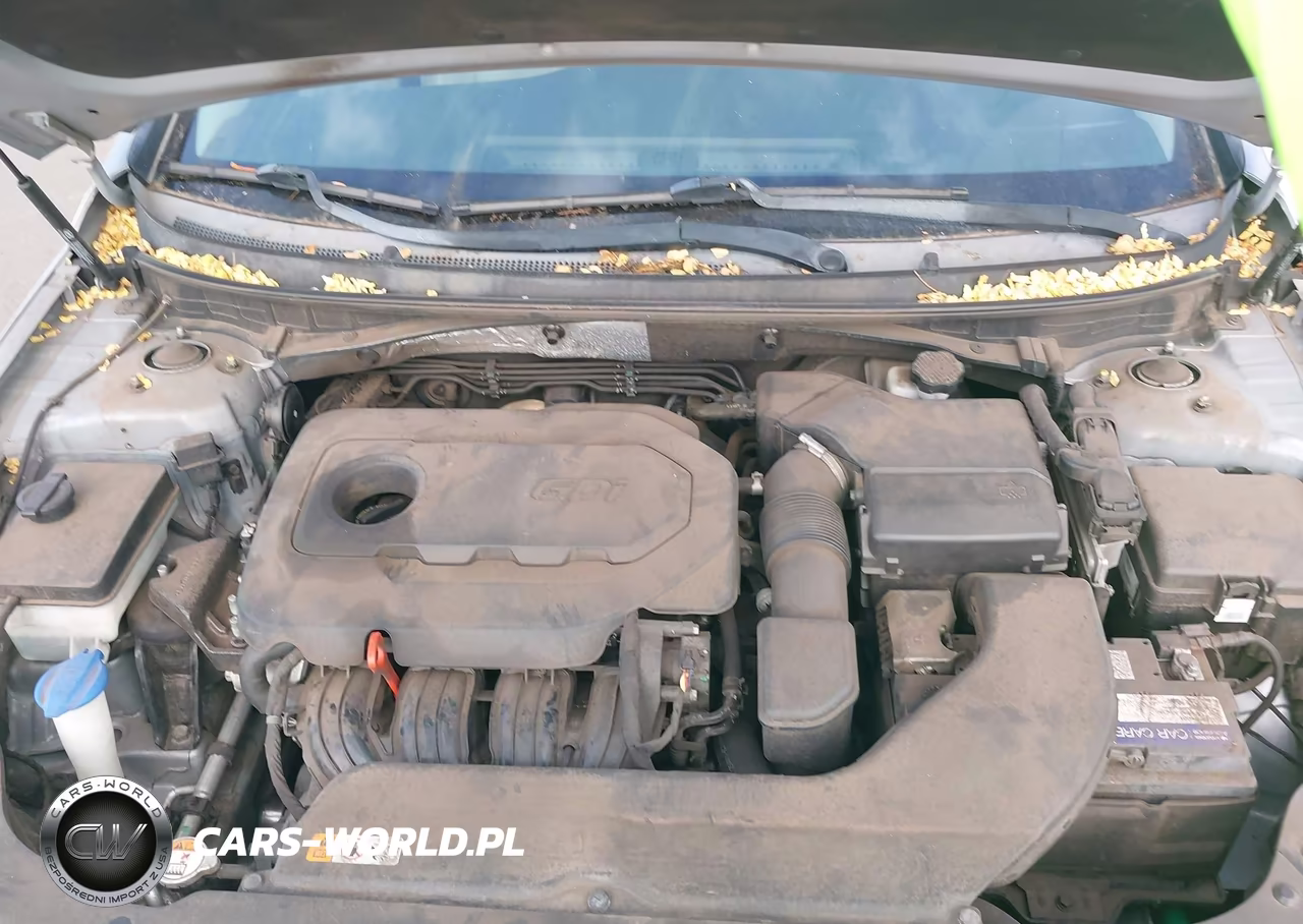 2015 Hyundai Sonata Sport VIN:5NPE34AF2FH132325 - 10