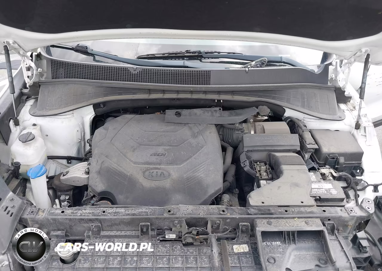 2019 Kia Sorento 3.3L Lx VIN:5XYPG4A52KG582935 - 10