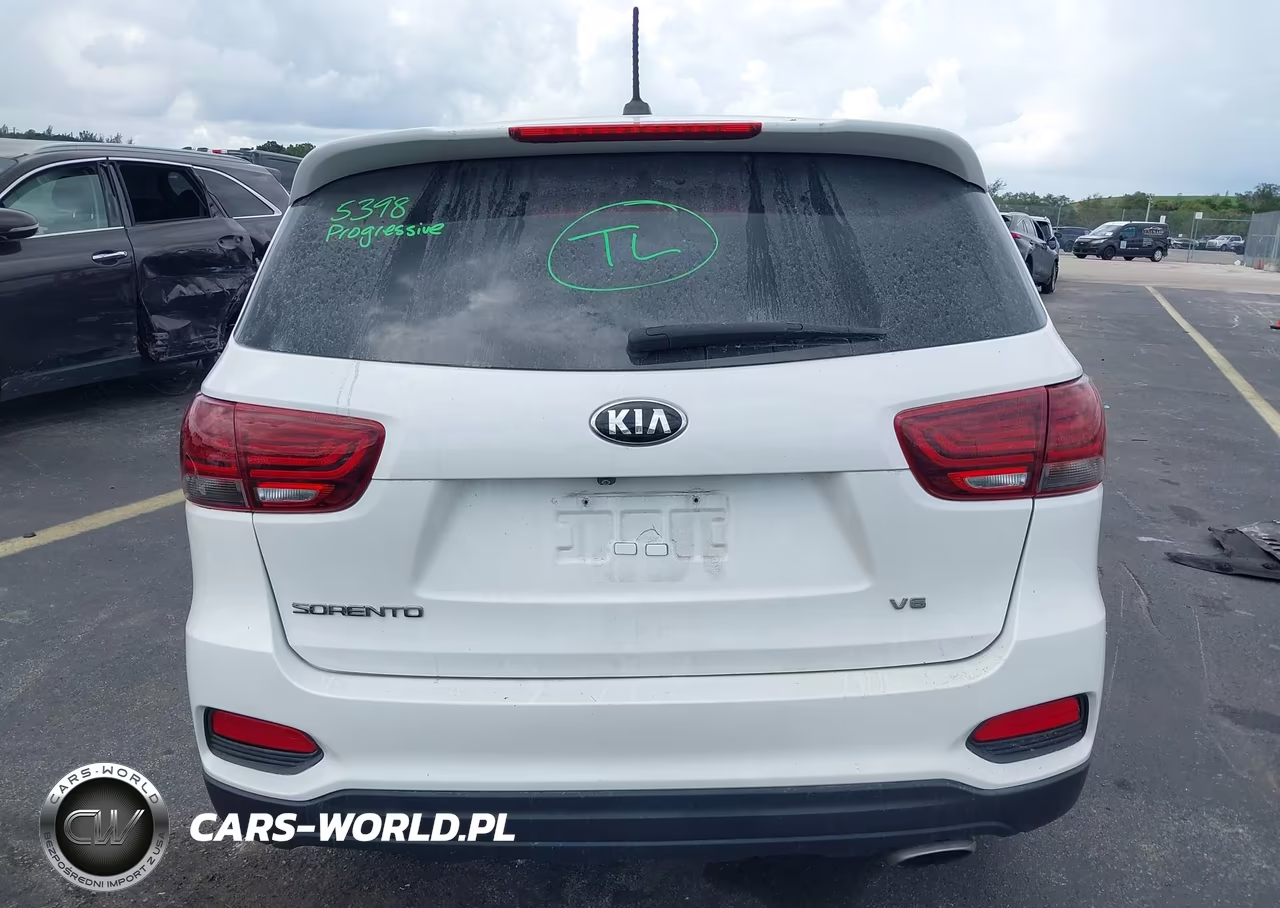 2019 Kia Sorento 3.3L Lx VIN:5XYPG4A52KG582935 - 17