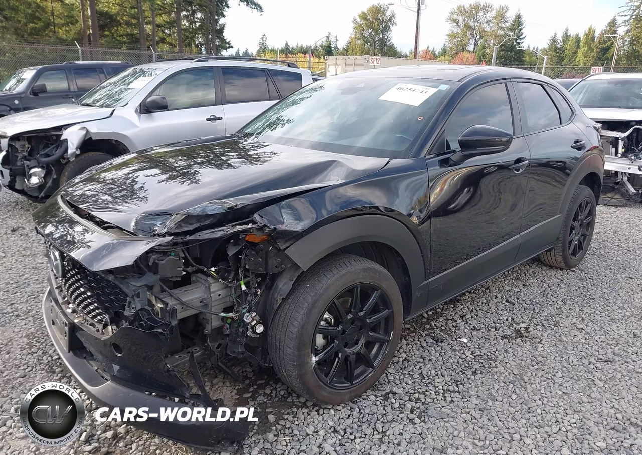 2021 Mazda Cx-30 Preferred VIN:3MVDMBCLXMM253710 - 2