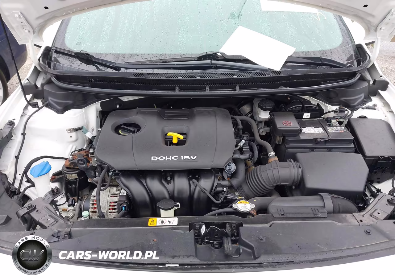 2017 Kia Forte S VIN:3KPFL4A76HE102233 - 10