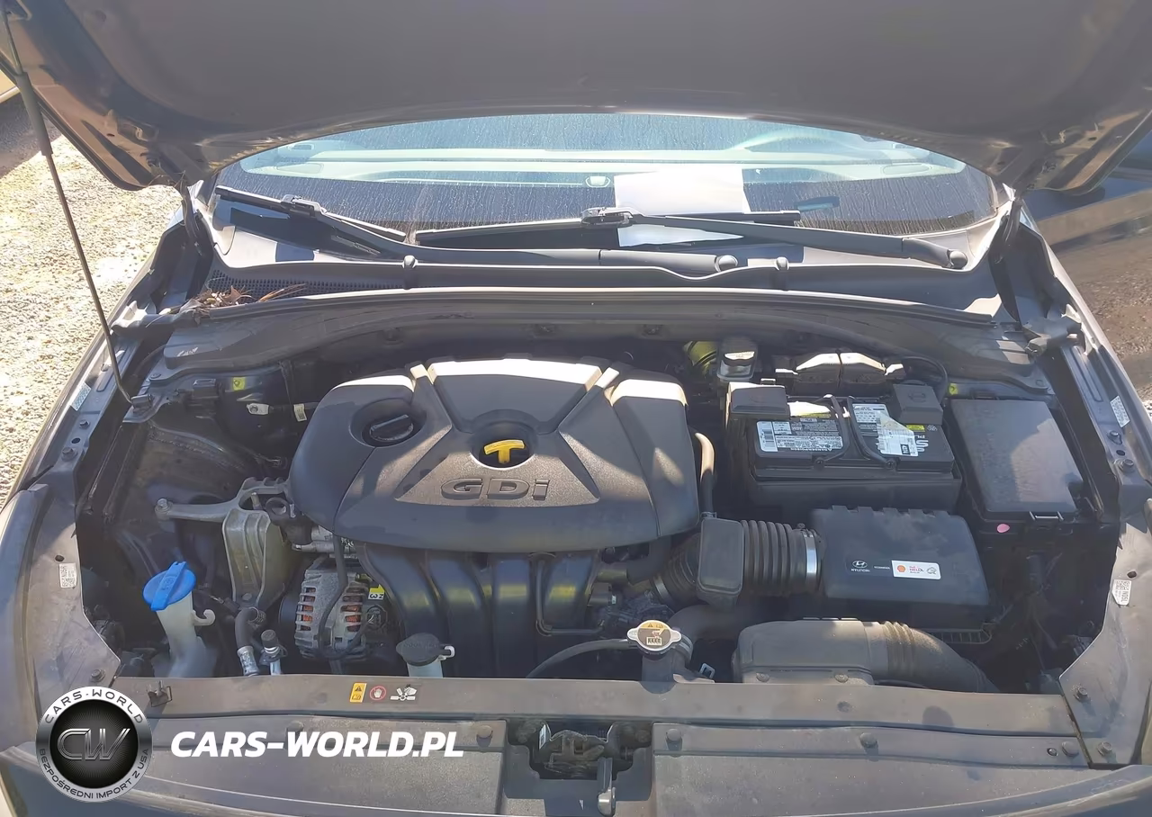 2019 Hyundai Elantra Gt VIN:KMHH35LE4KU096785 - 10