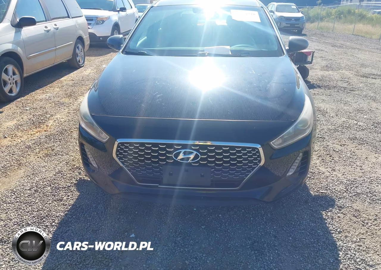 2019 Hyundai Elantra Gt VIN:KMHH35LE4KU096785 - 12