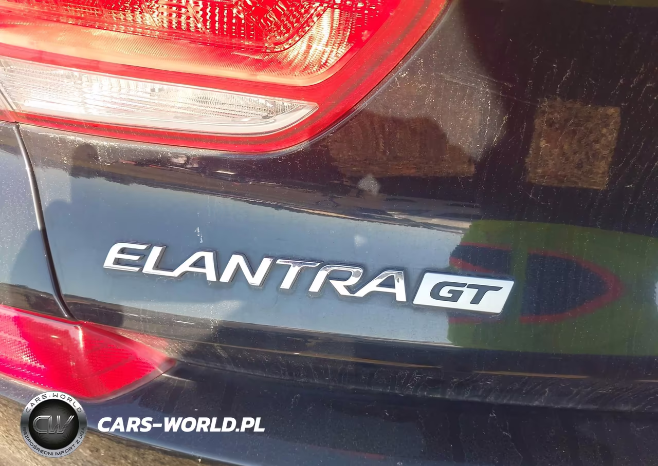 2019 Hyundai Elantra Gt VIN:KMHH35LE4KU096785 - 17