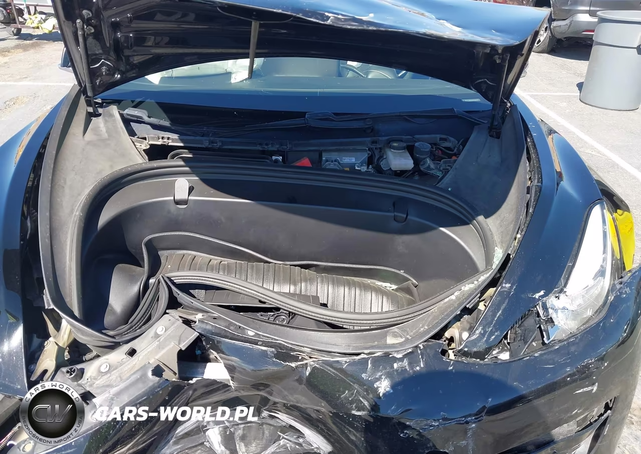 2019 Tesla Model 3 Long Range-Mid Range-Standard Range-Standard Range Plus VIN:5YJ3E1EA8KF398200 - 10