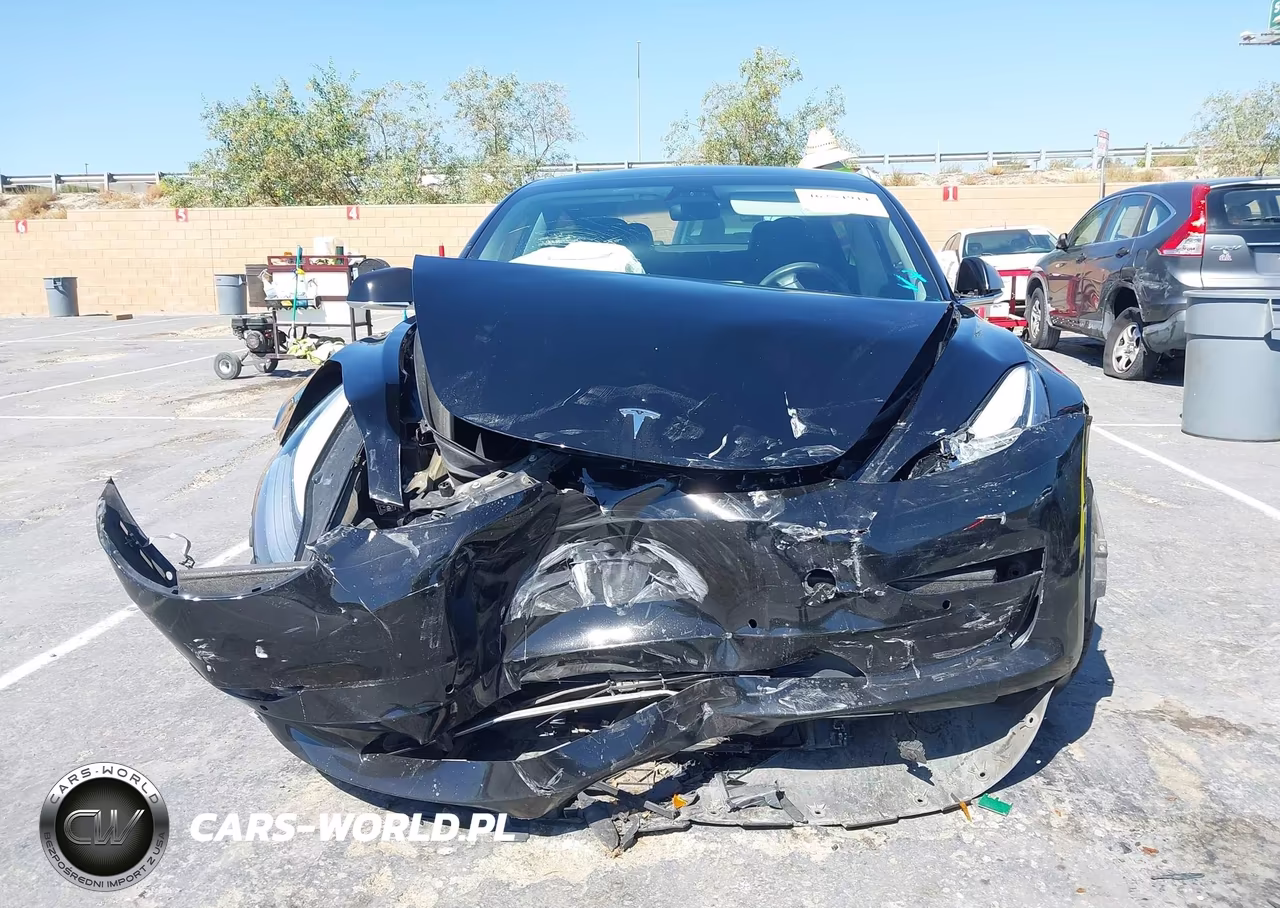 2019 Tesla Model 3 Long Range-Mid Range-Standard Range-Standard Range Plus VIN:5YJ3E1EA8KF398200 - 12