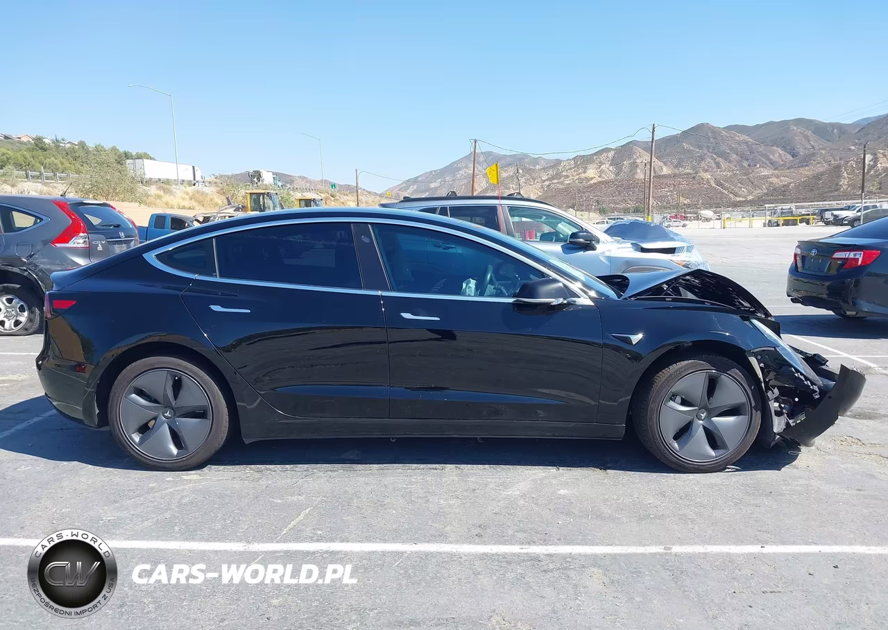 2019 Tesla Model 3 Long Range-Mid Range-Standard Range-Standard Range Plus VIN:5YJ3E1EA8KF398200 - 13