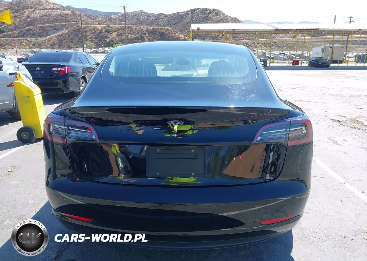 2019 Tesla Model 3 Long Range-Mid Range-Standard Range-Standard Range Plus VIN:5YJ3E1EA8KF398200 - 16