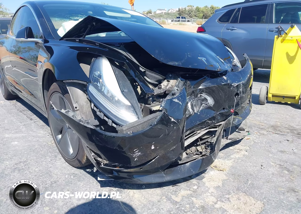 2019 Tesla Model 3 Long Range-Mid Range-Standard Range-Standard Range Plus VIN:5YJ3E1EA8KF398200 - 6