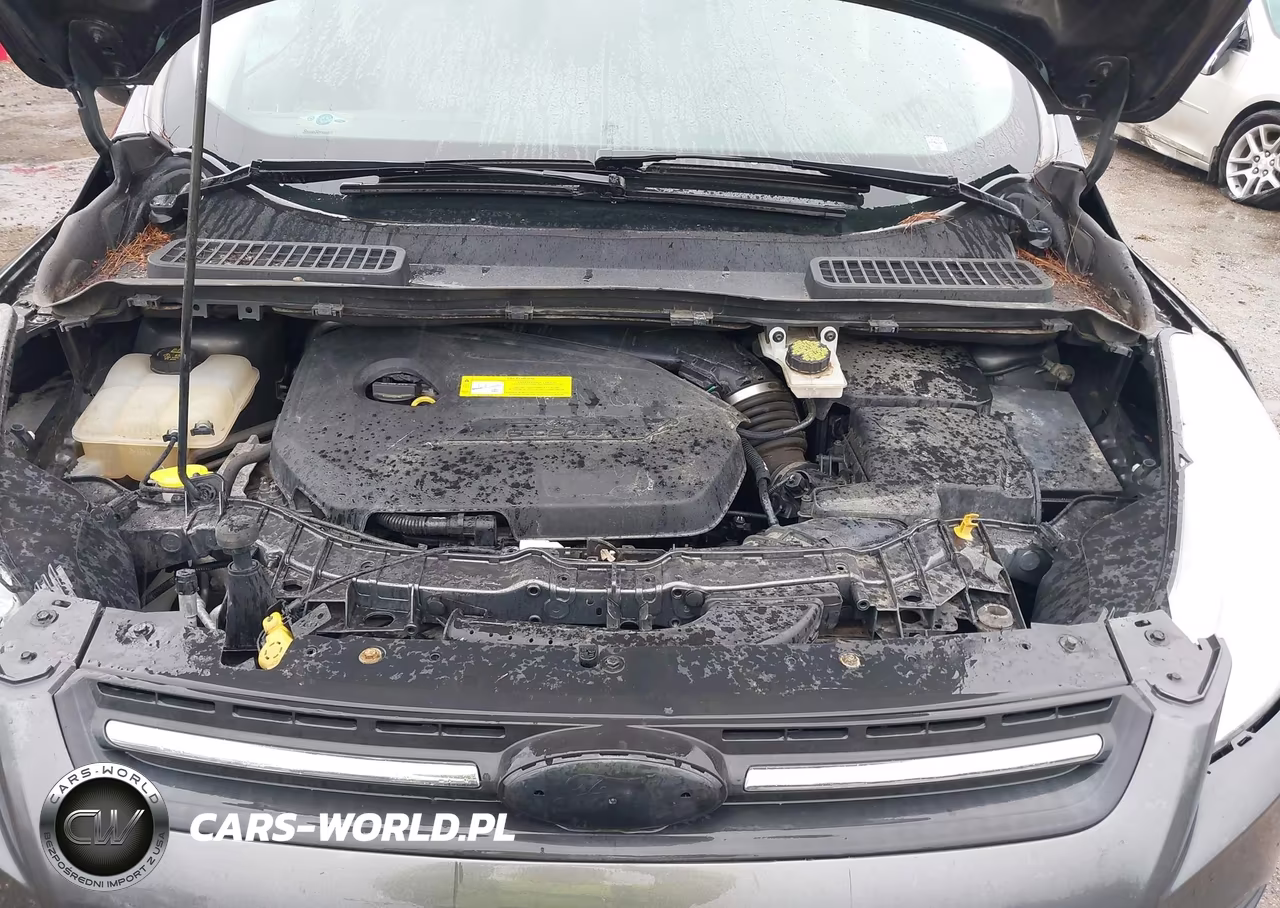 2015 Ford Escape Se VIN:1FMCU0GX4FUC54831 - 10