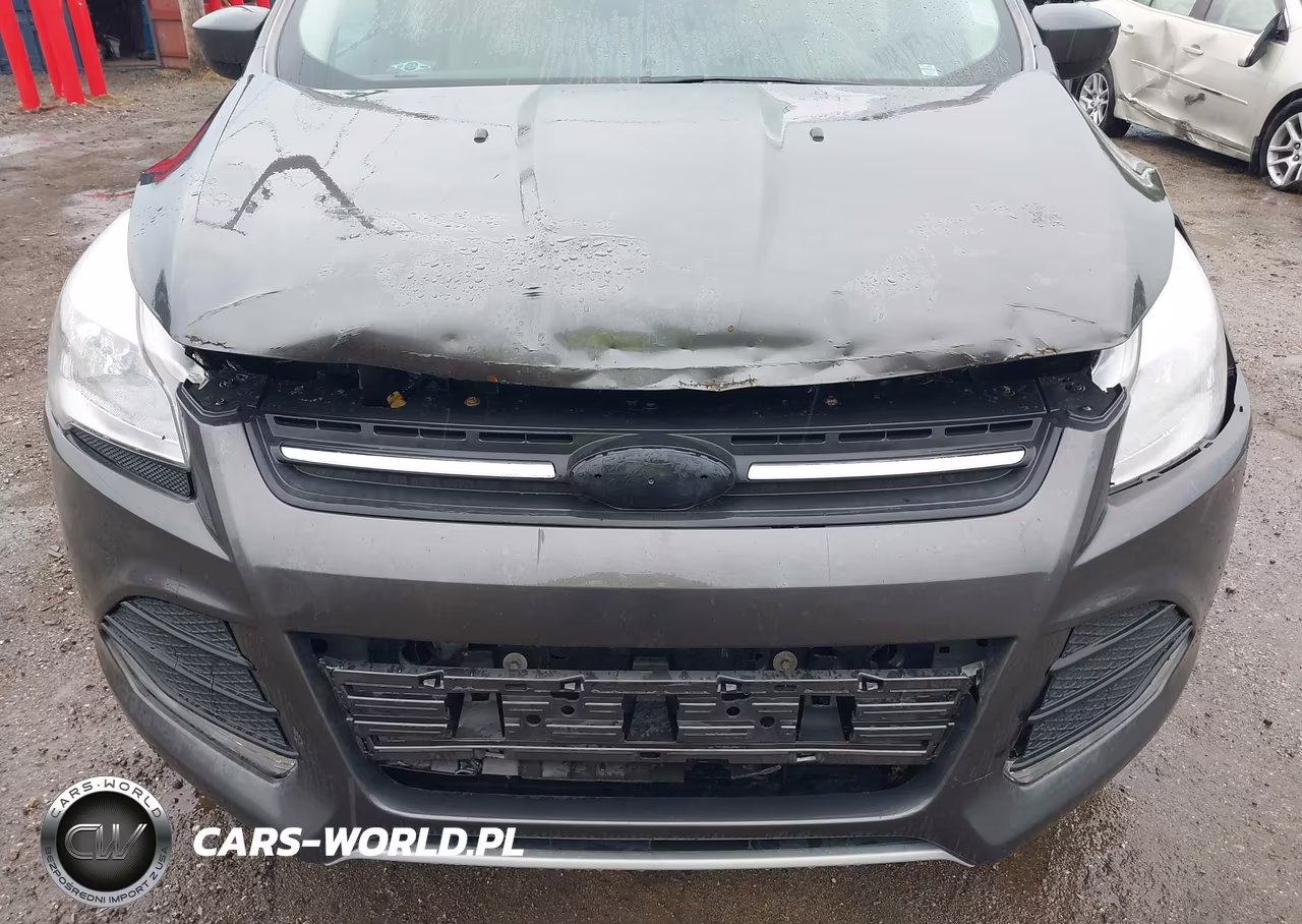 2015 Ford Escape Se VIN:1FMCU0GX4FUC54831 - 6