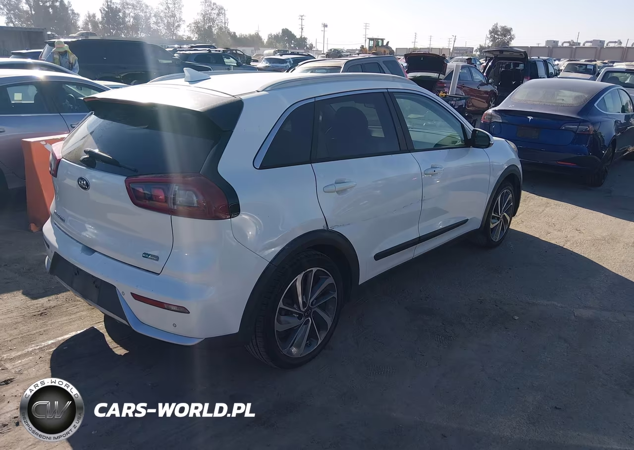 2017 Kia Niro Touring VIN:KNDCE3LC9H5042879 - 4