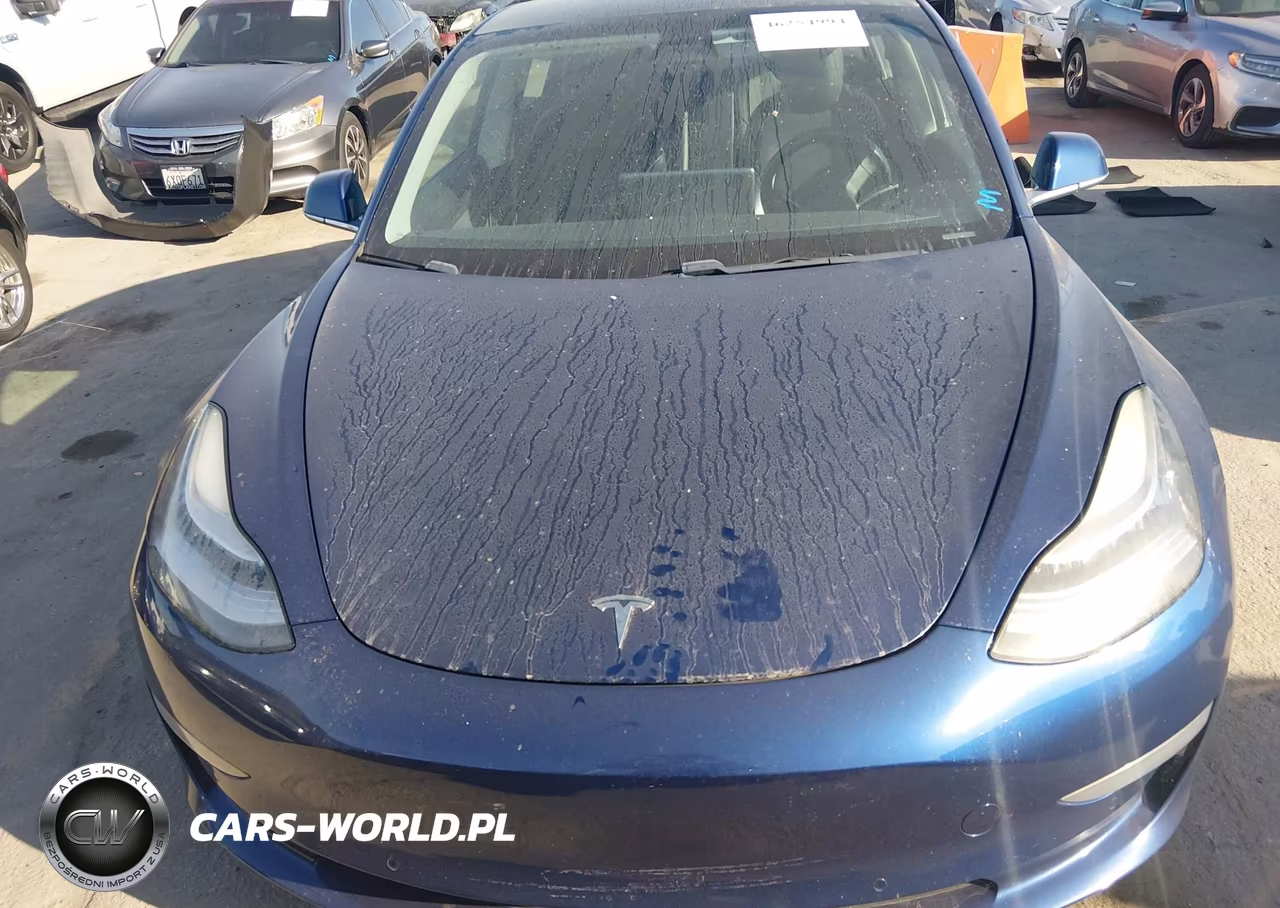 2019 Tesla Model 3 Long Range-Mid Range-Standard Range-Standard Range Plus VIN:5YJ3E1EAXKF476167 - 6
