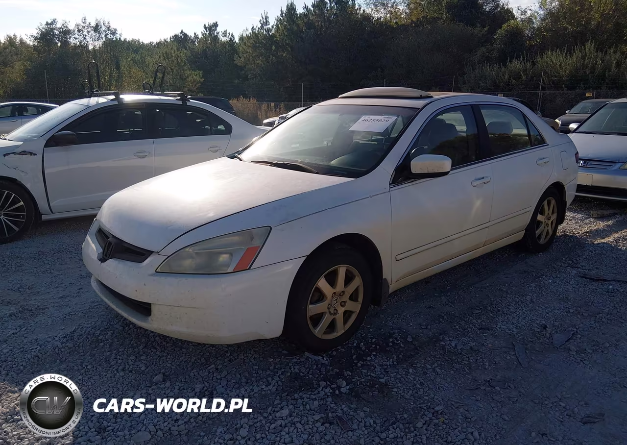 2005 Honda Accord 3.0 Ex VIN:1HGCM66585A062093 - 2