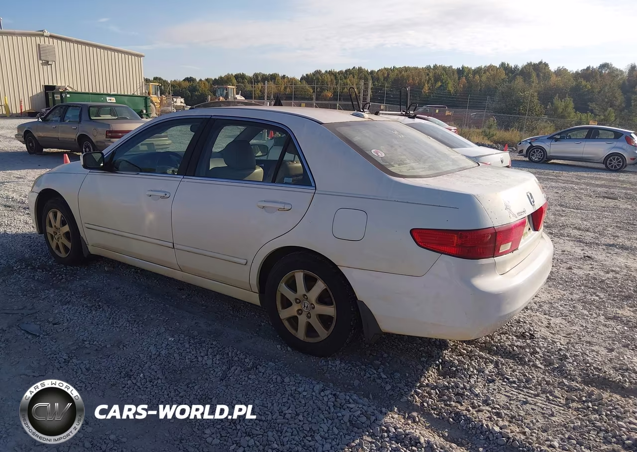 2005 Honda Accord 3.0 Ex VIN:1HGCM66585A062093 - 3