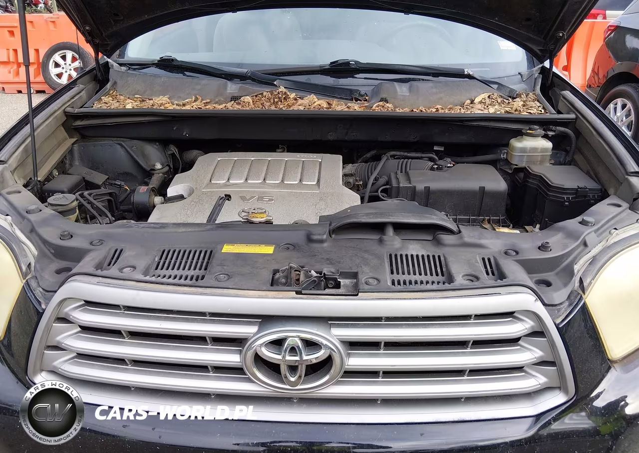 2008 Toyota Highlander VIN:JTEDS41A082030816 - 8