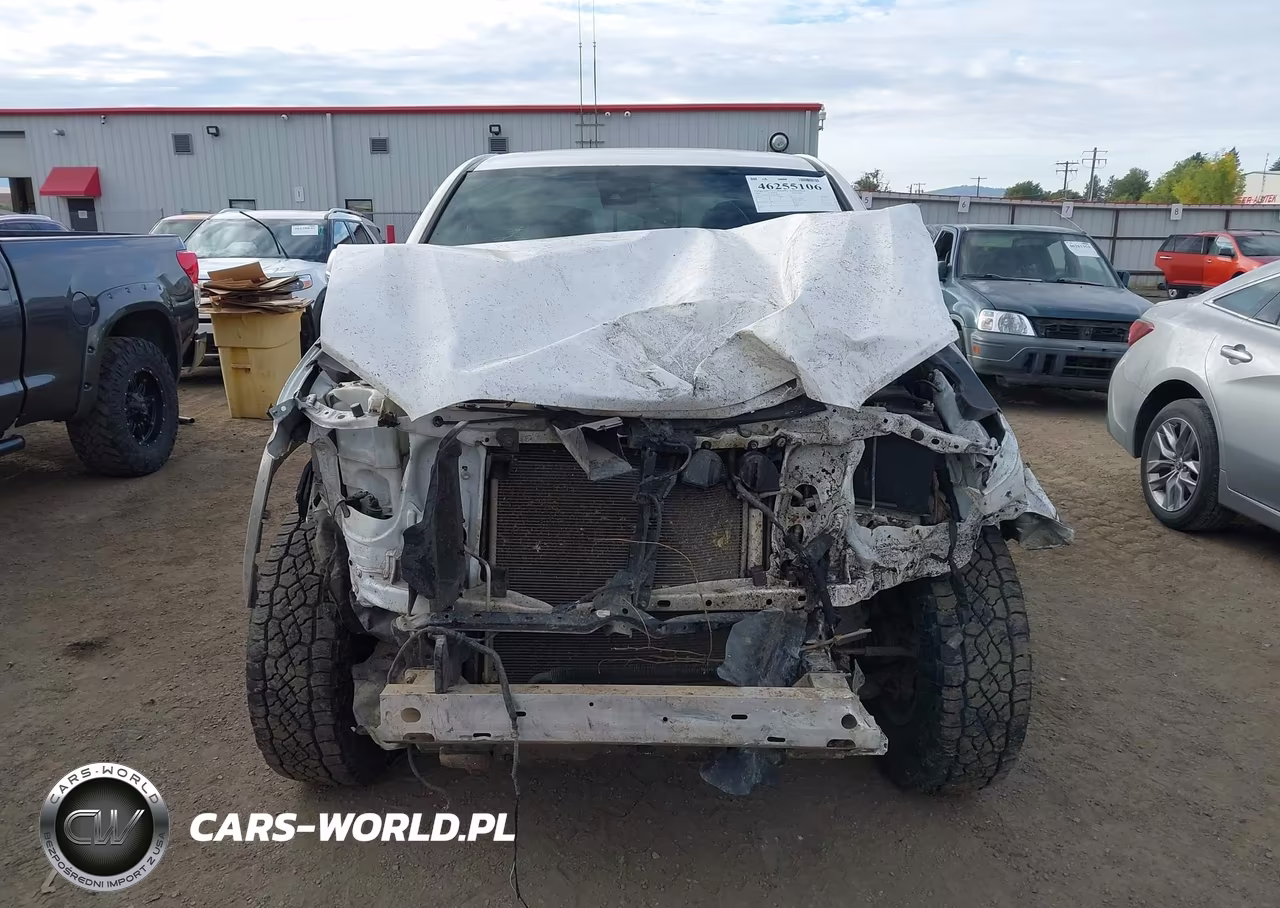 2020 Toyota Tacoma Trd Off-Road VIN:5TFCZ5AN8LX238930 - 12