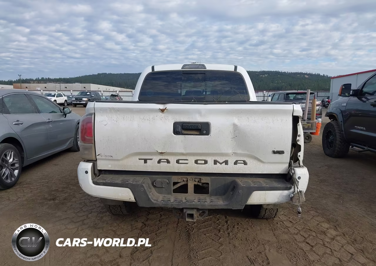 2020 Toyota Tacoma Trd Off-Road VIN:5TFCZ5AN8LX238930 - 16