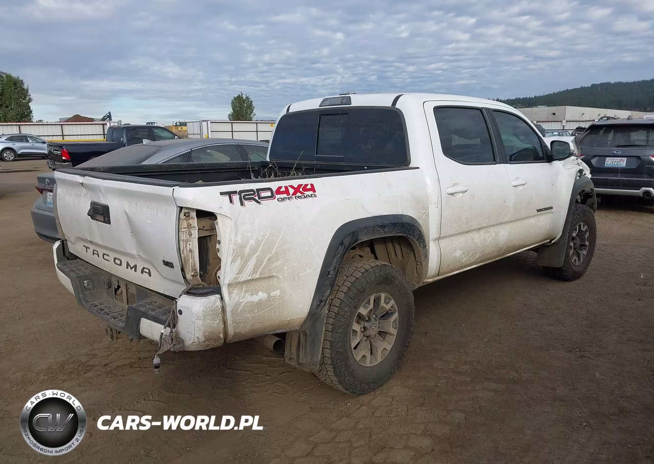 2020 Toyota Tacoma Trd Off-Road VIN:5TFCZ5AN8LX238930 - 4