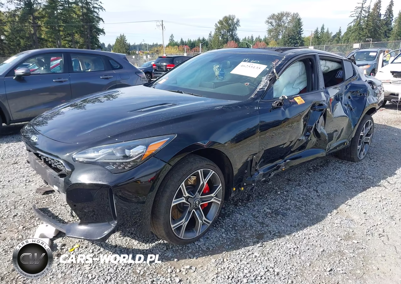 2018 Kia Stinger Gt1 VIN:KNAE45LC7J6018164 - 2