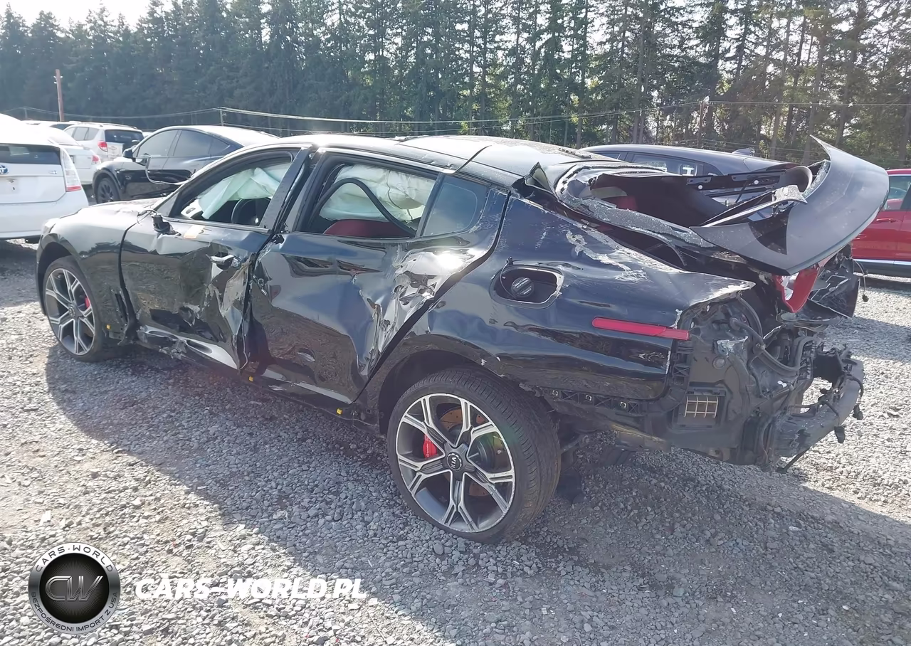 2018 Kia Stinger Gt1 VIN:KNAE45LC7J6018164 - 3