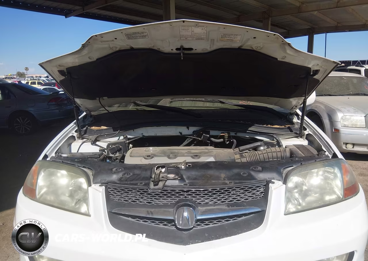 2003 Acura Mdx VIN:2HNYD18683H517403 - 10