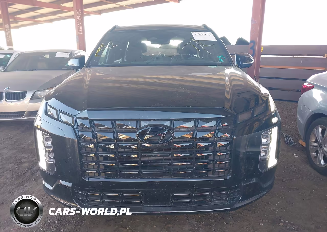2024 Hyundai Palisade Calligraphy Night Edition VIN:KM8R7DGE8RU794288 - 13