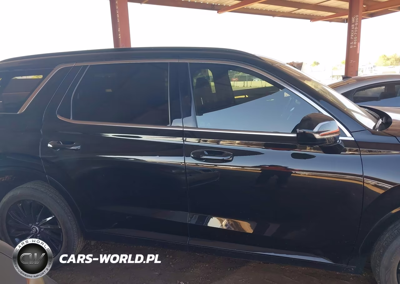 2024 Hyundai Palisade Calligraphy Night Edition VIN:KM8R7DGE8RU794288 - 14