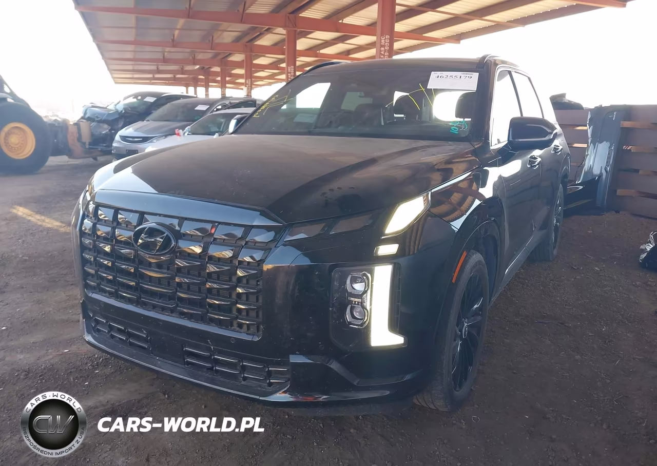 2024 Hyundai Palisade Calligraphy Night Edition VIN:KM8R7DGE8RU794288 - 2