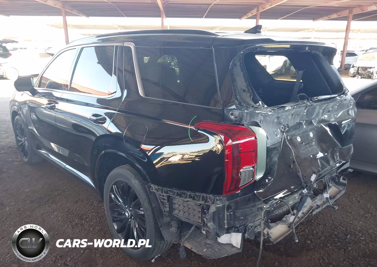2024 Hyundai Palisade Calligraphy Night Edition VIN:KM8R7DGE8RU794288 - 3