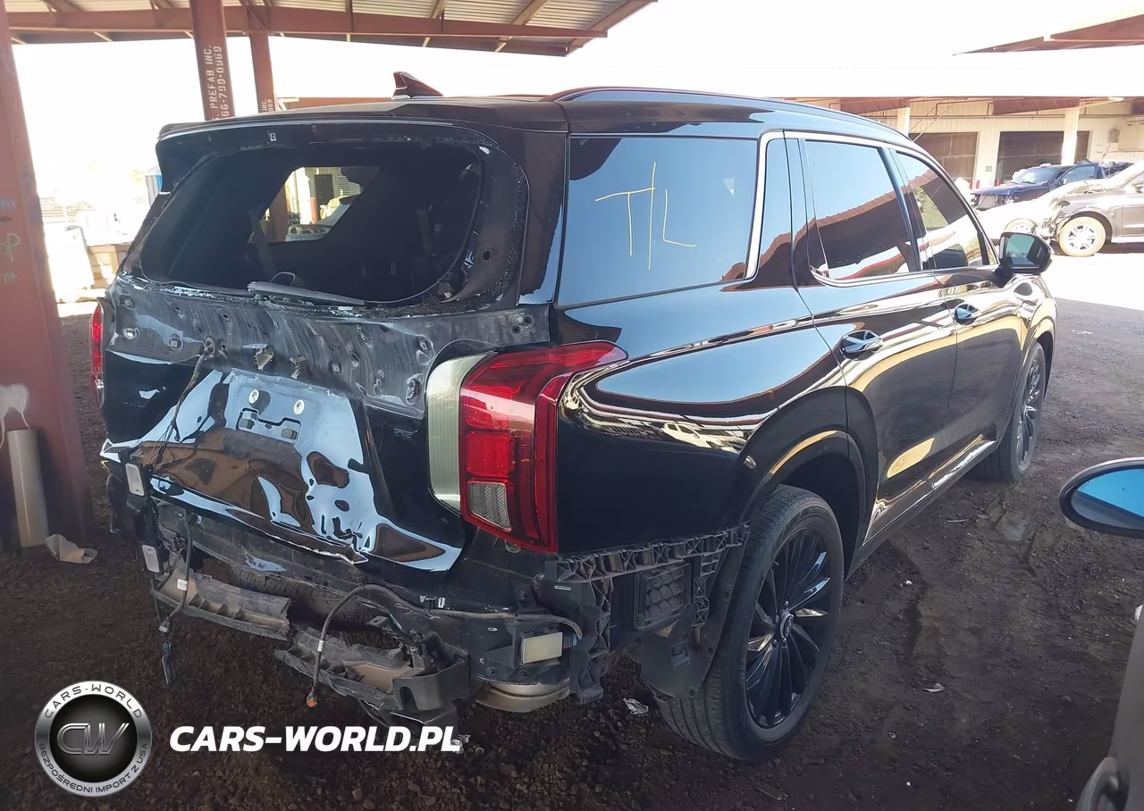 2024 Hyundai Palisade Calligraphy Night Edition VIN:KM8R7DGE8RU794288 - 4