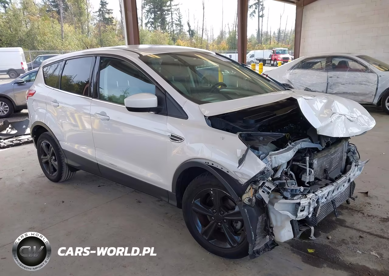 2014 Ford Escape Se