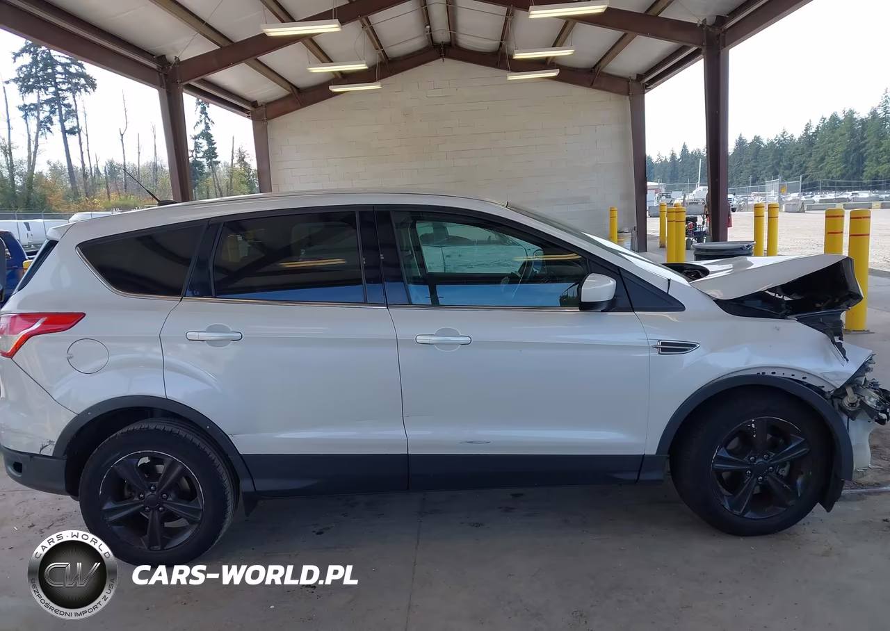 2014 Ford Escape Se VIN:1FMCU0GX2EUD49189 - 14