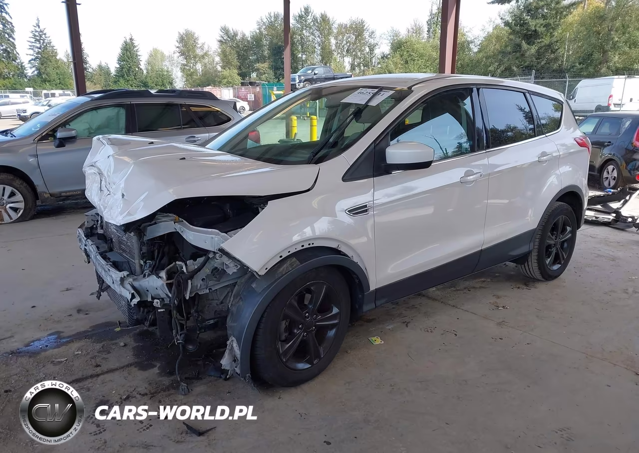 2014 Ford Escape Se VIN:1FMCU0GX2EUD49189 - 2