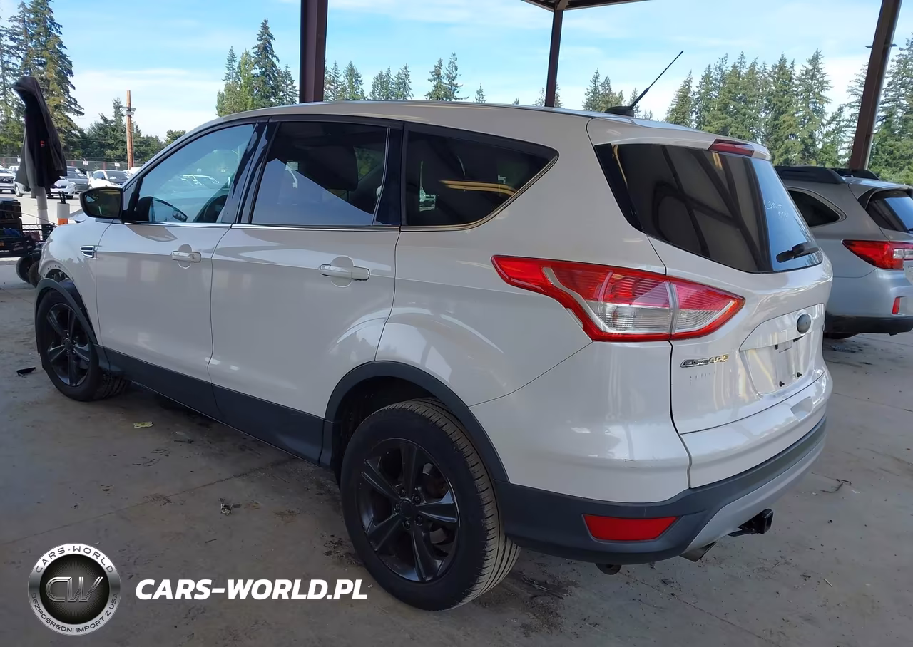 2014 Ford Escape Se VIN:1FMCU0GX2EUD49189 - 3