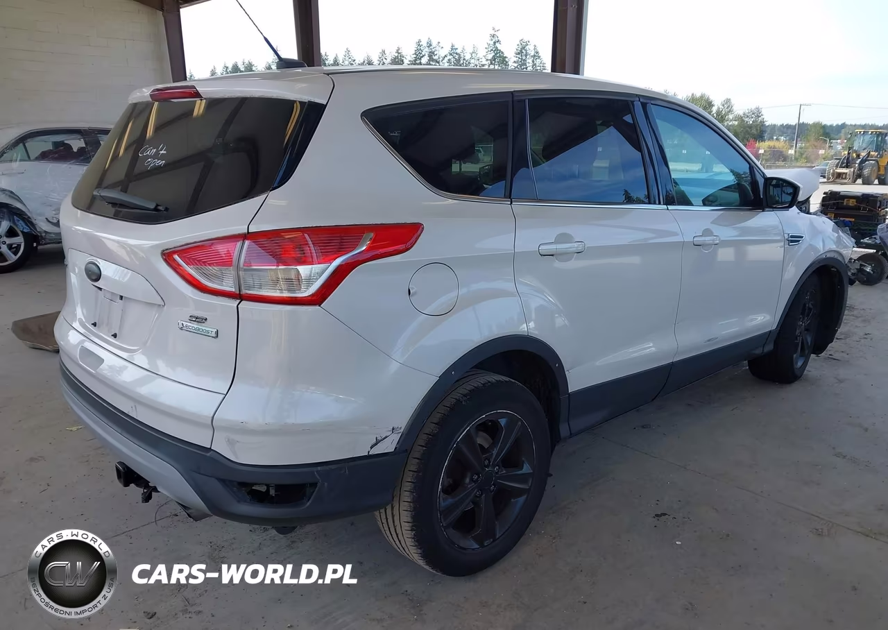 2014 Ford Escape Se VIN:1FMCU0GX2EUD49189 - 4