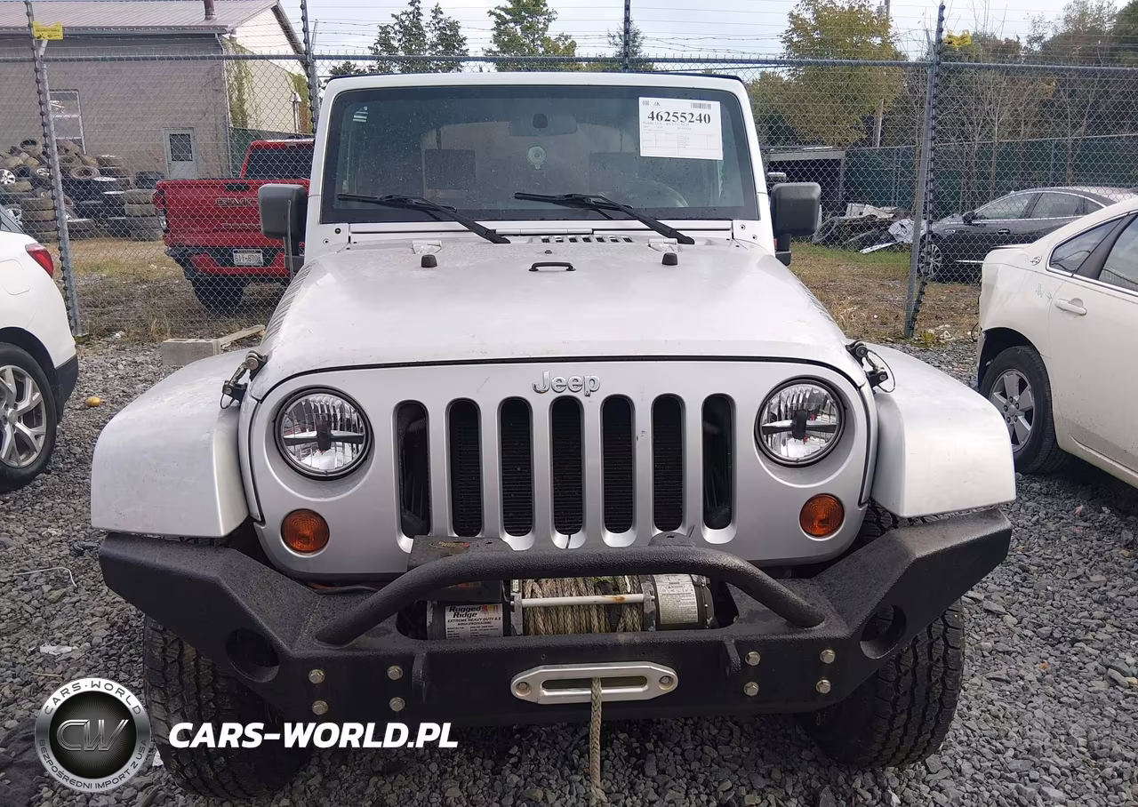 2009 Jeep Wrangler Sahara VIN:1J8FA54169L761613 - 13