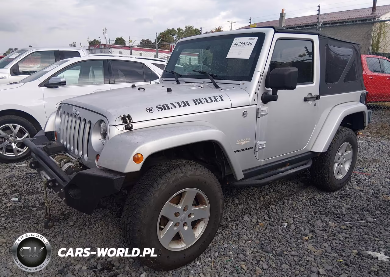 2009 Jeep Wrangler Sahara VIN:1J8FA54169L761613 - 2
