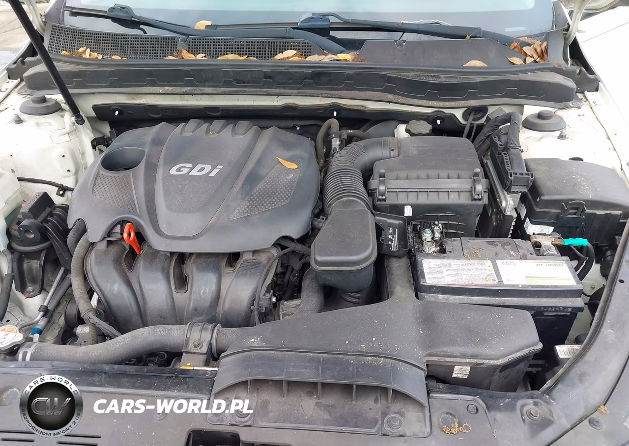 2015 Kia Optima VIN:KNAGM4A77F5638292 - 10