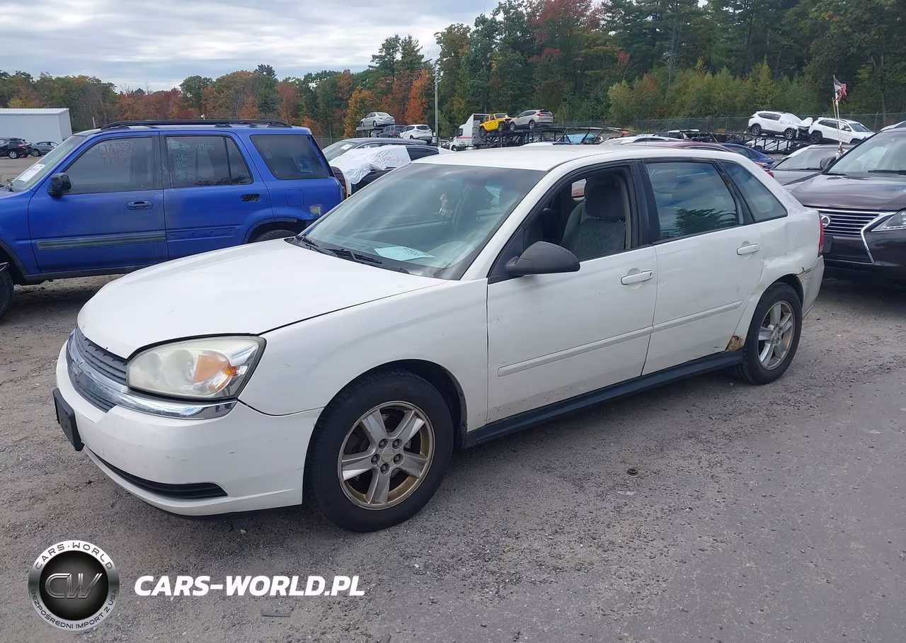 2005 Chevrolet Malibu Maxx Ls VIN:1G1ZT628X5F296422 - 2