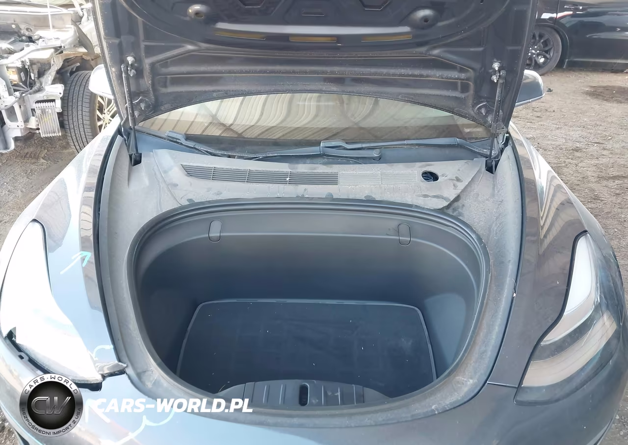 2019 Tesla Model 3 VIN:5YJ3E1EA7KF396437 - 10