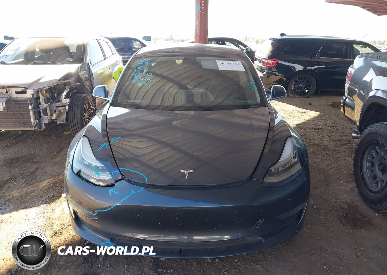 2019 Tesla Model 3 VIN:5YJ3E1EA7KF396437 - 11