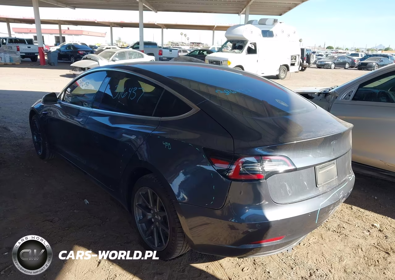 2019 Tesla Model 3 VIN:5YJ3E1EA7KF396437 - 3