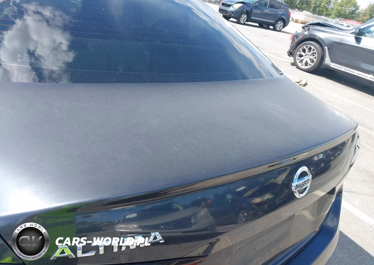 2019 Nissan Altima 2.5 Sv VIN:1N4BL4DV4KC117875 - 17