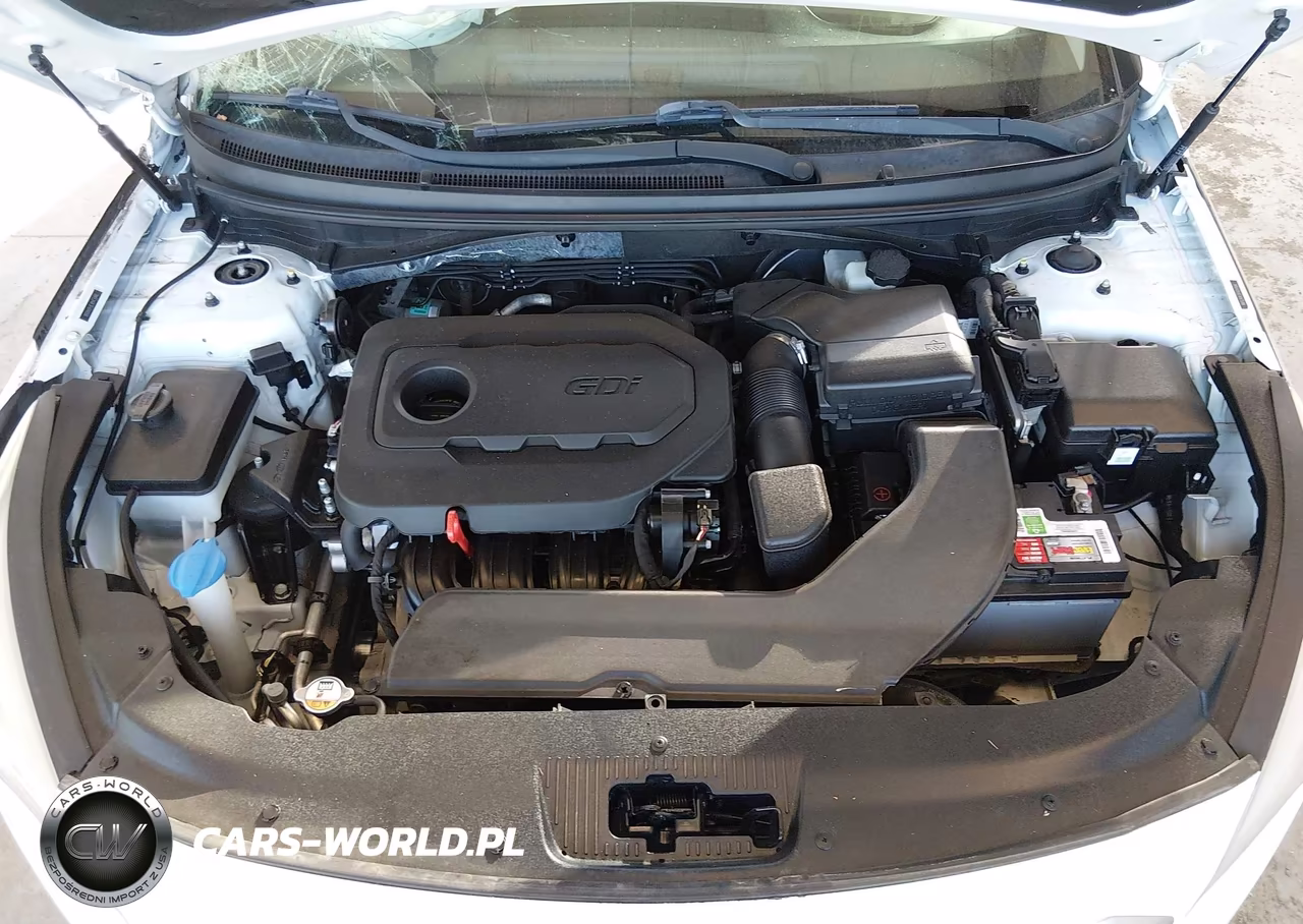 2015 Hyundai Sonata Se VIN:5NPE24AF3FH244506 - 10