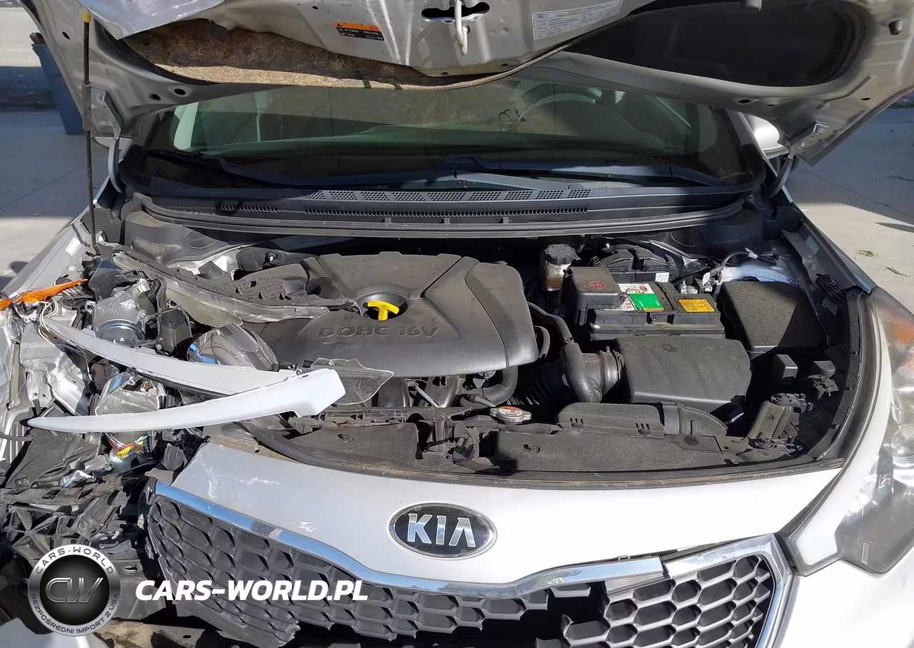 2016 Kia Forte Lx VIN:KNAFK4A69G5449458 - 10