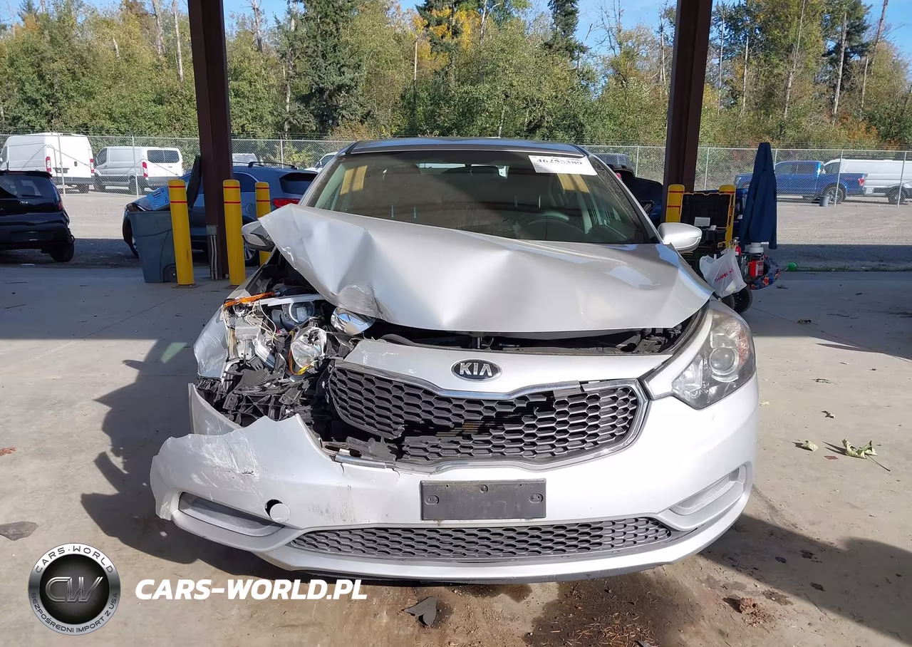2016 Kia Forte Lx VIN:KNAFK4A69G5449458 - 12