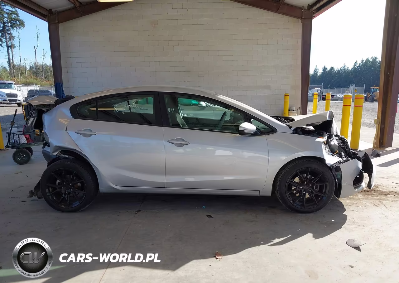 2016 Kia Forte Lx VIN:KNAFK4A69G5449458 - 13
