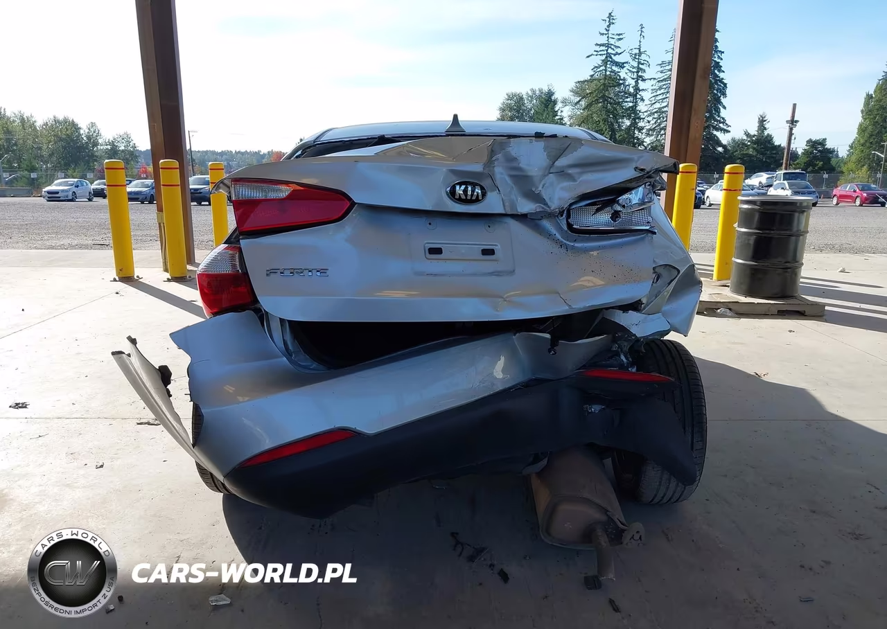 2016 Kia Forte Lx VIN:KNAFK4A69G5449458 - 16