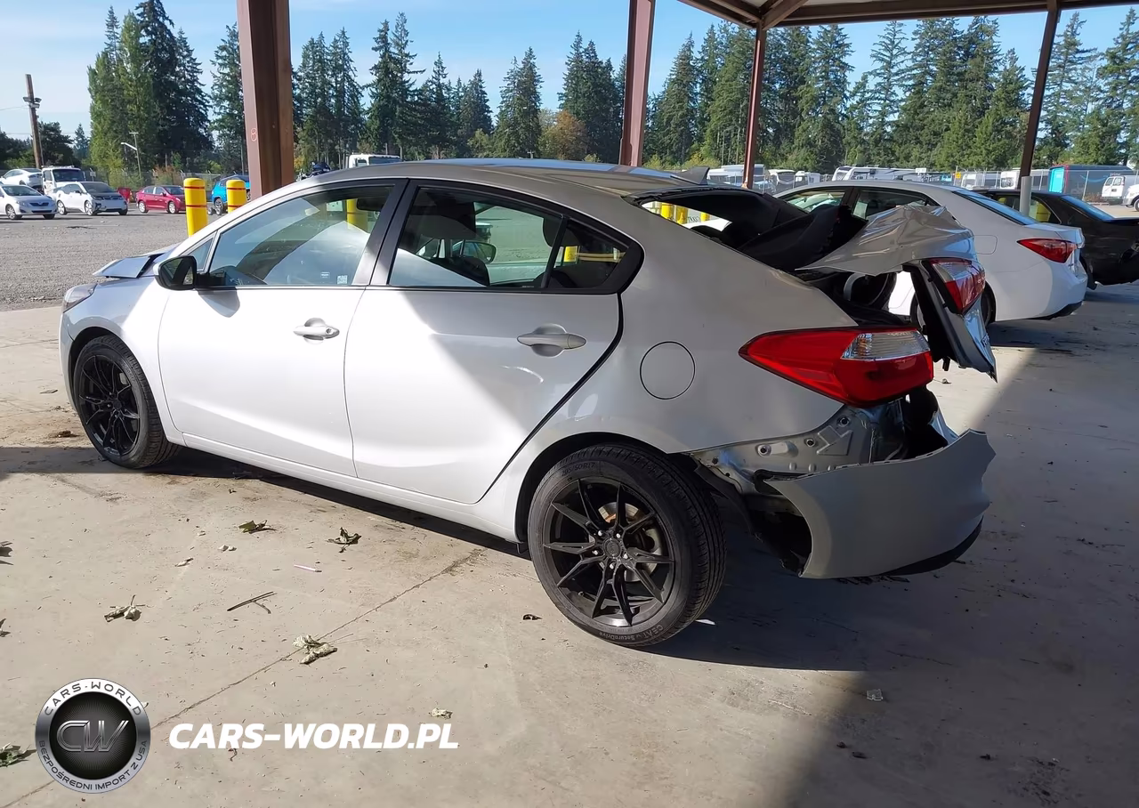 2016 Kia Forte Lx VIN:KNAFK4A69G5449458 - 3